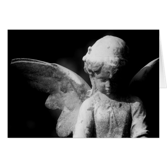 天使の (正面横)