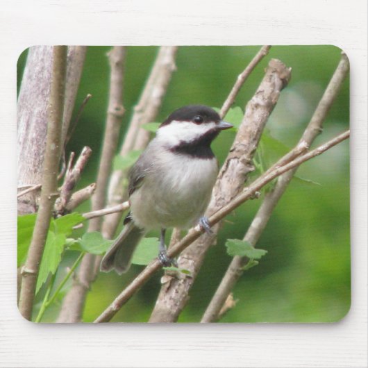 天使のC. Chickadee Mousepad マウスパッド (正面)