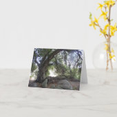 天使ライト カード (黄色い花)