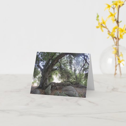 天使ライト カード (黄色い花)