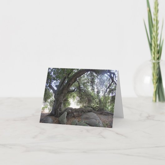 天使ライト カード (正面)