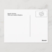 天使出生 ポストカード (裏面)