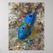 天使顔 ポスター (正面)