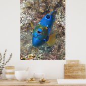 天使顔 ポスター (キッチン)