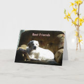 天使03212006の親友 カード (黄色い花)