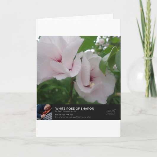 天使 カード (正面)