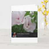 天使 カード (黄色い花)