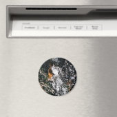 天使 マグネット (インサイチュ (食洗機))