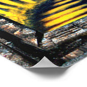 天光 ポスター (角)