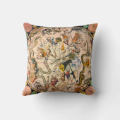 天半球1790年 クッション (裏面)