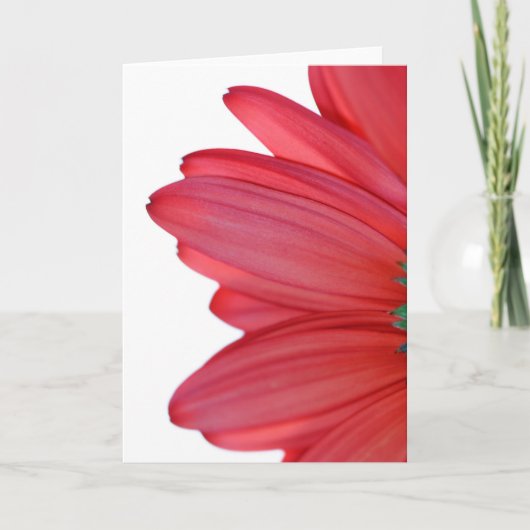 天国からの花びら カード (正面)