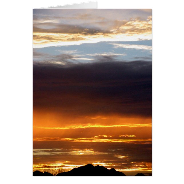 天国かHell~キンバリーP-Chadwick (正面)