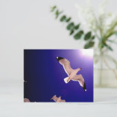 天国が開く ポストカード (スタンド正面)