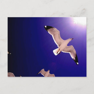 天国が開く ポストカード