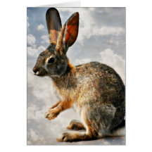 天国のバニーを祈ること