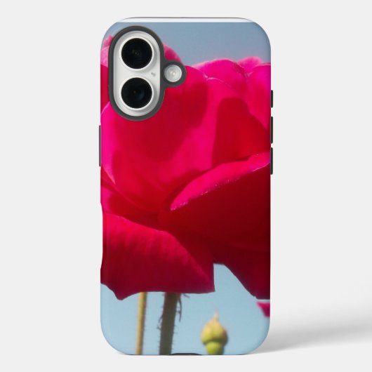 天国のバラ | 青空に映える美しい赤い花 Case-Mate iPhoneケース (裏面)