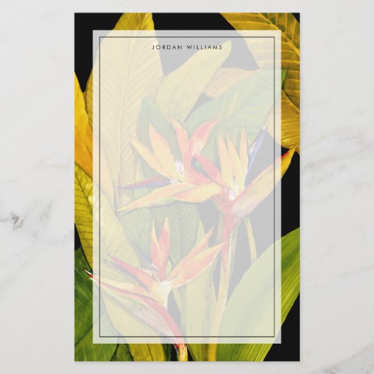 天国の鳥 便箋 (正面)