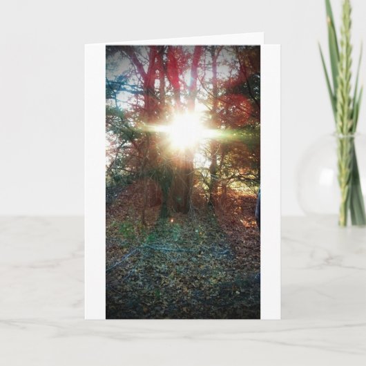 天国光を照らす カード (正面)