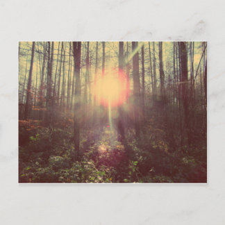 天国光 ポストカード