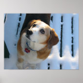 天国結合 ポスター (正面)