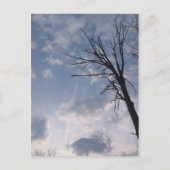 天国 ポストカード (正面)