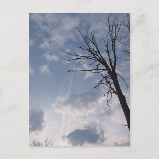 天国 ポストカード (正面)