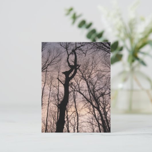 天国 ポストカード (スタンド正面)