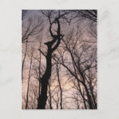 天国 ポストカード (正面)