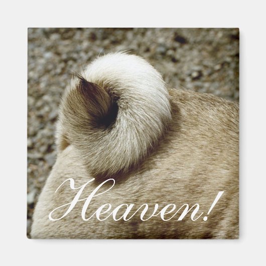 天国!マグネット マグネット (正面)