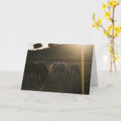 天国-写真の挨拶状からの太陽光線 カード (黄色い花)