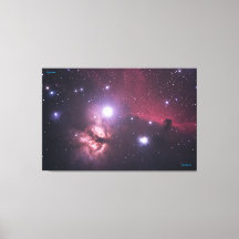 天国- Distinguished Canvas Print