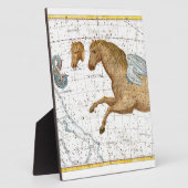 天地地図ペガサス フォトプラーク (側面)