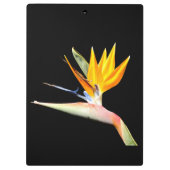 天堂鳥植物クリップボード クリップボード (裏面)