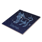 天座と〔占星術の〕十二宮図の星座 タイル (側面)