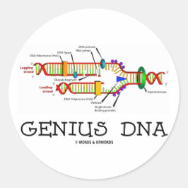 天才DNA(DNA複製ユーモア) ラウンドシール