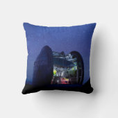 天文台カルテック地下室計 |ハワイ クッション (裏面)