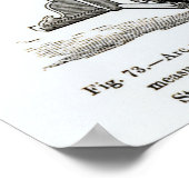 天文学的楽器 ポスター (角)