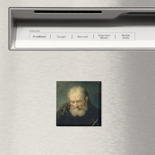 天文学者 マグネット (インサイチュ (食洗機))