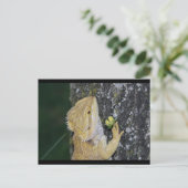 天智絵葉書 ポストカード (スタンド正面)