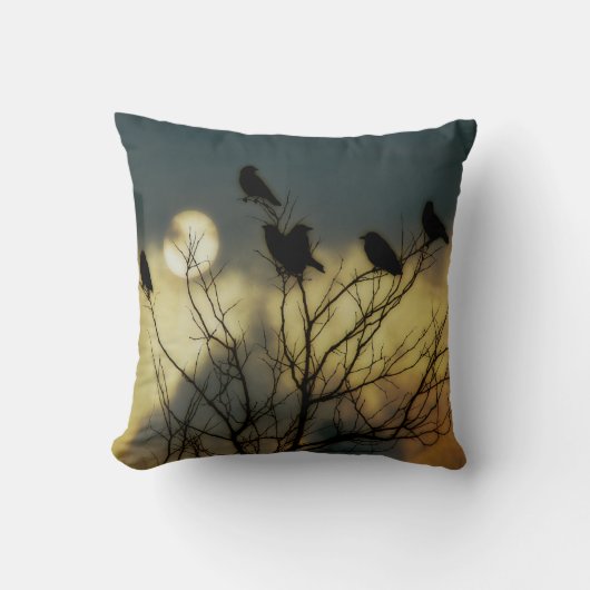 天月 クッション (正面)