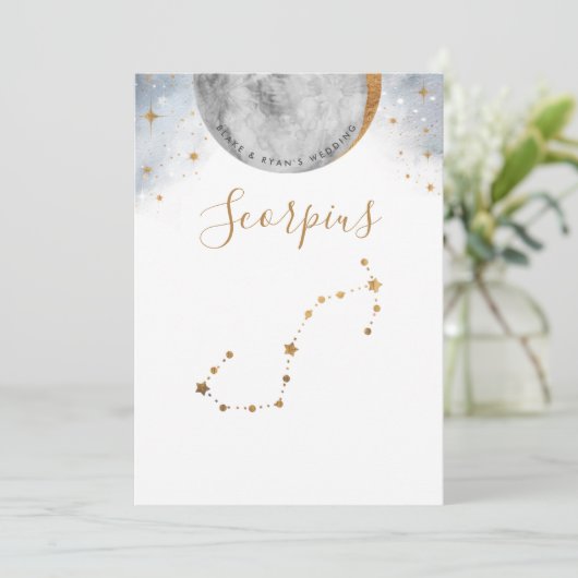 天板番号、さそり座 (スタンド正面)