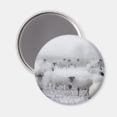 天気が悪い マグネット (正面/裏面)