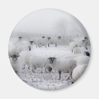 天気が悪い マグネット