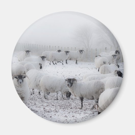 天気が悪い マグネット (正面)