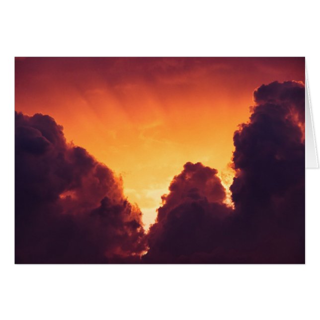 天気が良い (正面横)