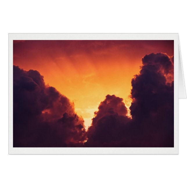 天気が良い (正面横)