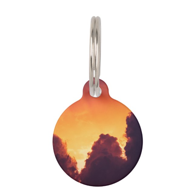 天気が良い ペット　ネームタグ (正面)