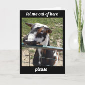 "天気の下にいる"よくカードを取得する カード (正面)