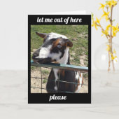 "天気の下にいる"よくカードを取得する カード (黄色い花)