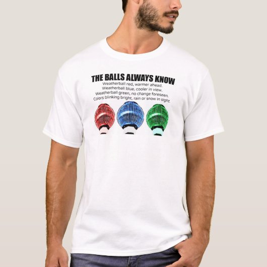 天気予報はいつも知っている Tシャツ (正面)
